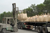 Xuất bán gần 20 triệu tấn sản phẩm, ngành xi măng thu về 732 triệu USD