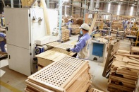 Từ 1/10/2020, triển khai nhiều dịch vụ công trực tuyến về xuất nhập khẩu