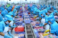 "Mạch nối" đưa hàng Việt sang 6 thị trường Bắc Âu