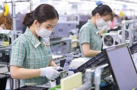 Thương mại song phương Việt Nam-Hàn Quốc đạt 65,1 tỷ USD vào cuối năm nay
