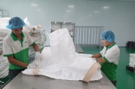 Kim ngạch xuất nhập khẩu hàng hóa cán mốc 413 tỷ USD
