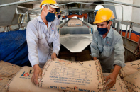 Vicem Hà Tiên 1: Doanh thu, lợi nhuận 9 tháng 2020 sụt giảm mạnh 