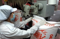 20.000 tấn đường xuất sang EU được miễn thuế theo EVFTA