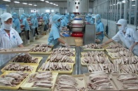 Tổng quan xuất nhập khẩu của Việt Nam với 14 thị trường RCEP 