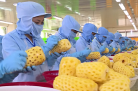 Xuất khẩu thực phẩm sang Hàn Quốc vẫn "dính" lỗi về an toàn thực phẩm