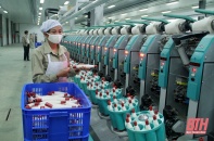 Nhà máy sợi 600 tỷ đồng chuẩn bị được đầu tư tại Hà Tĩnh