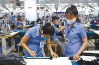 Dệt may Thành Công công bố lợi nhuận 11,2 triệu USD