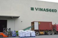 60 tấn gạo đầu tiên xuất khẩu sang Anh theo UKVFTA