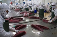 Xuất siêu sang EU 4 tỷ USD 
