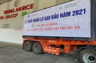 Doanh nghiệp Việt trúng thầu xuất khẩu hơn 11.000 tấn gạo sang Hàn Quốc