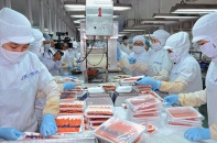 Doanh nghiệp xuất khẩu thực phẩm hỗn hợp sang EU lưu ý cập nhật quy định mới