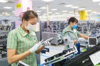 Thương mại Việt Nam - EU bật tăng 12 lần, cán mốc 50 tỷ USD
