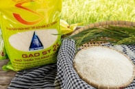 Sau Mỹ, đến lượt gạo ST 24, ST 25 bị đăng ký nhãn hiệu tại Australia