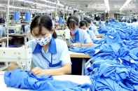 May Việt Tiến dự chi 300 tỷ đồng đầu tư, đón lõng cơ hội thị trường trong dài hạn