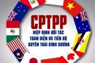 Khởi động đàm phán việc gia nhập CPTPP của Vương quốc Anh trong tháng 6/2021
