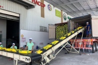 Gạo Việt có lợi thế cạnh tranh tại Ba Lan