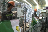 Việt Nam xuất khẩu 615.000 tấn phân bón, chủ yếu sang Đông Nam Á