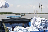 Xuất khẩu gạo 7 tháng 2021 sụt giảm nhẹ, hụt 12 triệu USD so với cùng kỳ