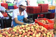 Việt Nam là đối tác thương mại lớn nhất của Đức trong ASEAN