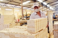 Xuất khẩu gỗ đạt 9,5 tỷ USD, tăng thêm 3,3 tỷ USD so với cùng kỳ 2020