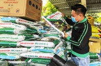 Nguồn cung phân bón không thiếu nhưng giá cao chót vót