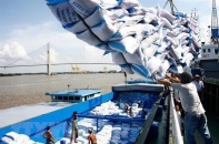Sớm giải quyết tình trạng ùn tắc container xuất khẩu gạo