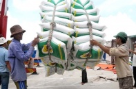 Xuất khẩu gạo thêm khó do cảng Tân Cảng Hiệp Phước tạm ngừng dịch vụ đóng rút gạo