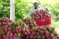 Doanh nghiệp Nga tăng nhập khẩu nông thủy sản từ Việt Nam