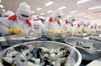 Xuất khẩu thủy sản sang EU "được giá"