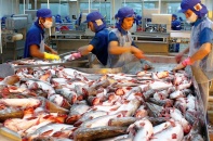 Gần 70% thủy sản sang EU được ưu đãi thuế quan theo EVFTA