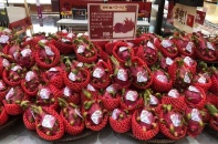 Thanh long Bình Thuận nhận "giấy thông hành" vào Nhật