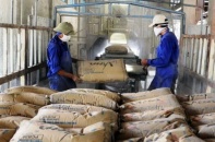 Sản xuất, tiêu thụ xi măng của nhiều doanh nghiệp Vicem gặp khó do dịch Covid-19