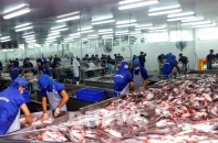 Sắp diễn ra Diễn đàn thương mại Việt Nam - EU 2021