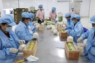 Không gian lớn cho doanh nghiệp xuất khẩu từ "siêu hiệp định" RCEP