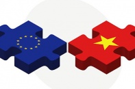 Cải cách của Việt Nam theo cam kết EVFTA sẽ ngày càng khó và chậm hơn