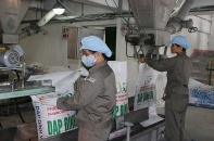 Dự án DAP-1 Hải Phòng cơ bản khắc phục tồn tại, kinh doanh có lãi