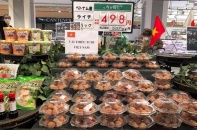 Thương mại song phương Việt Nam - Nhật Bản đạt trên 34 tỷ USD