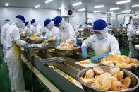 Tìm kiếm các giải pháp hỗ trợ doanh nghiệp xuất khẩu