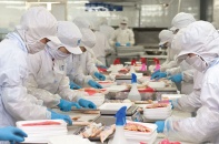 Hơn 1.000 mã sản phẩm nông, thủy sản Việt Nam được xuất sang Trung Quốc