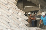 Vicem Bỉm Sơn kỳ vọng tiêu thụ 5,3 triệu tấn sản phẩm năm 2022