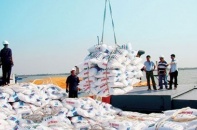 Hạ nhiệt giá phân bón trong nước bằng tăng thuế xuất khẩu