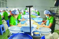 100 container hạt điều đã trở về sở hữu của các doanh nghiệp Việt