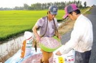 Quay cuồng với giá phân bón nhập khẩu