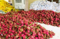 Trung Quốc thí điểm nhập khẩu trở lại trái cây Việt Nam qua cửa khẩu Lào Cai