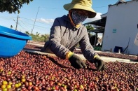 Tận dụng ưu đãi thuế quan từ EVFTA cao hơn gấp 4 lần CPTPP