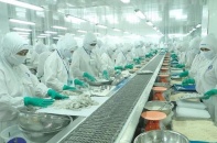 Doanh nghiệp nhẹ vai vì thủy sản nhập khẩu được miễn kiểm dịch