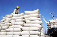 Sắp đấu giá hạn ngạch thuế quan nhập khẩu 113.000 tấn đường