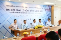 Viglacera tạm ứng cổ tức 10%, thông qua chủ trương khảo sát đầu tư vào Dominica