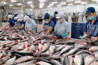 Mỹ giữ nguyên thuế chống bán phá giá cá tra, basa nhập từ Việt Nam