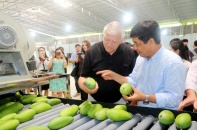 Xoài Sơn La, sâm Ngọc Linh, bơ sáp Đắk Lắk, cá hồi Sapa vào hệ thống phân phối 